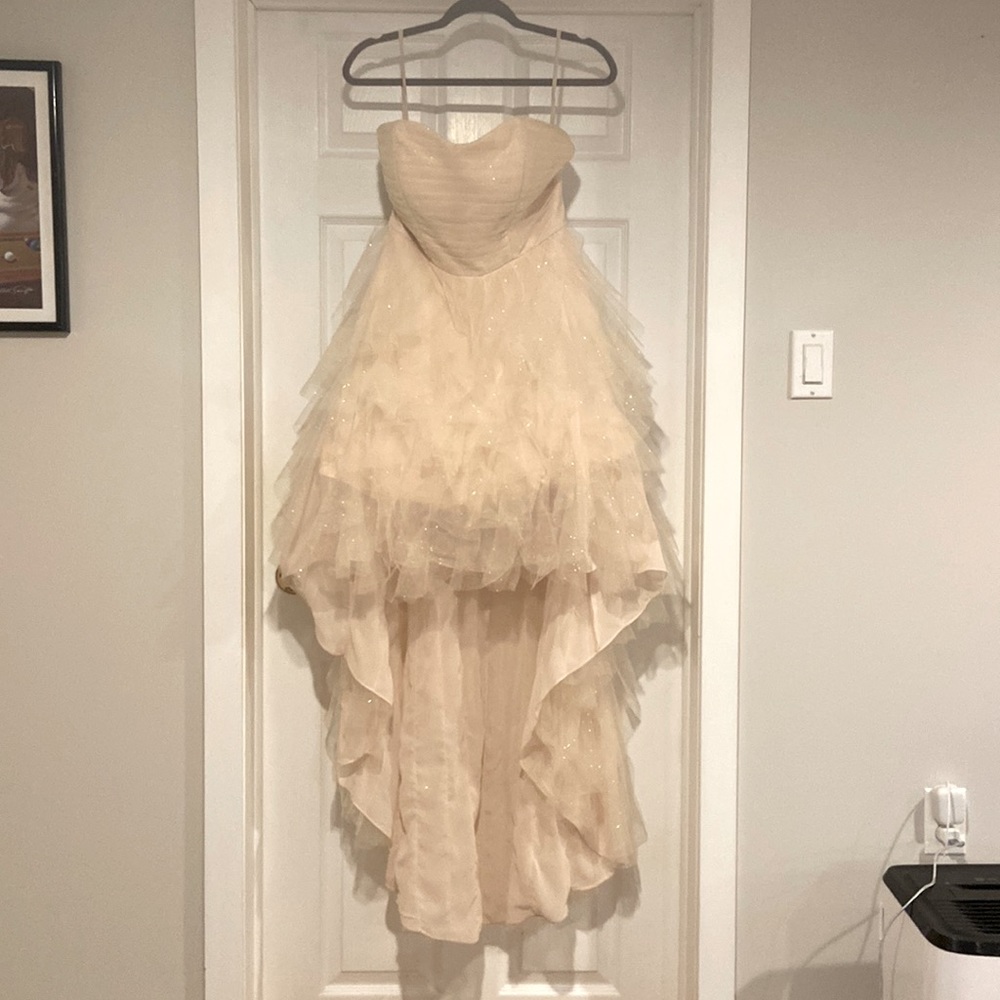 Blush colored strapless gown with satin ribbon that laces up the back